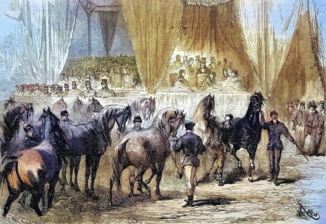 Horse show and award ceremony at the Palais de lIndustrie, the winning horses pass the jury stand,