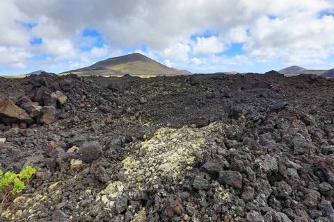 Volcanic landscape with lichen in the lava rock near Timanfaya National Park, Lanzarote, Canary