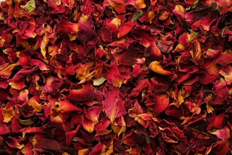 Dried petals of the medicinal plant rose, fragrant rose, Rosa gallica officinalis, The rose is also