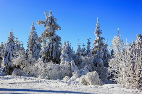 Winter landscape in the Fichtelgebirge, Bayreuth district, Upper Franconia, Bavaria, Germany,
