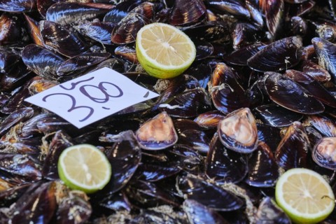 Mussels, lemons, price tag, detail, fish market, old town, Catania, east coast, Sicily, Italy,
