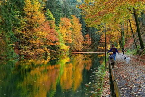 Hiking trail at Lake Amselsee, Rathen, Saxon Switzerland, Elbe Sandstone Mountains, Saxony,