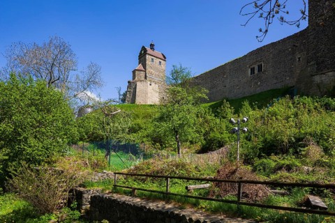 Stolpen Castle in spring