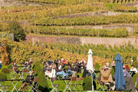 Schloss Wackerbarth or Wackerbarths Ruh' is a baroque castle surrounded by vineyards in the
