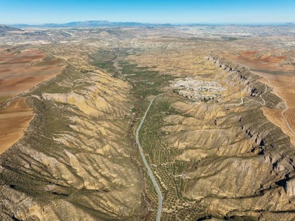 The Gor river valley grown with cultivated olive trees (Olea eropaea) and the town of Gorafe,