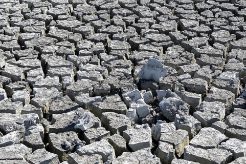 Cracked earth, heavily dried out Zicksee, Lake Neusiedl-Seewinkel National Park, Burgenland,