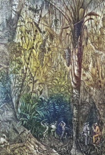 The Breakthrough of the Road to Nicaragua into the Miskito Reserve, through a Jungle, 1867,
