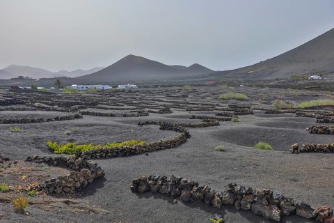 Vineyards around La Geria with volcanoes, Lanzarote, Canary Islands, Spain, Europe