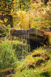 Stream stairs with flowing water in the spa gardens during autumn, Bad Wildbad, Black Forest,