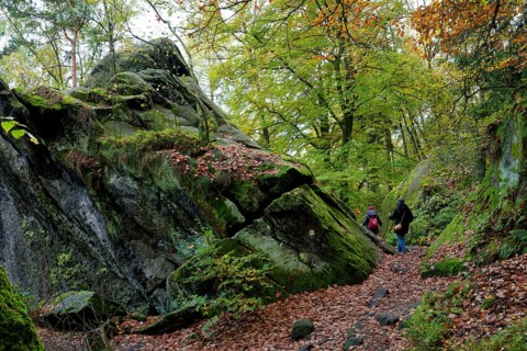 Hiking trail on the Lilienstein, Saxon Switzerland, Elbe Sandstone Mountains, Saxony, Germany,
