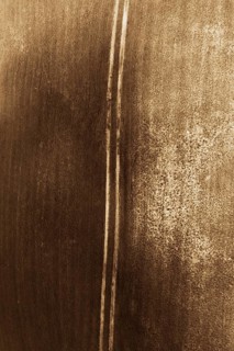 Drone shot, sepia colours, meadow path leads through agricultural landscape, from above, structure,