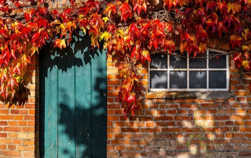 Autumn season, castle park and outbuildings, Ahrensburg, Schleswig-Holstein, Germany, Europe