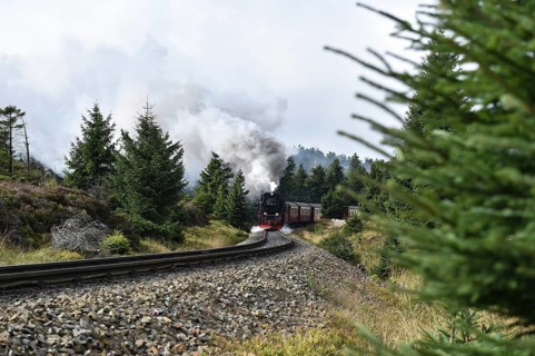 Harz narrow-gauge railway on the way to the Brocken, Saxony-Anhalt, Germany, Europe