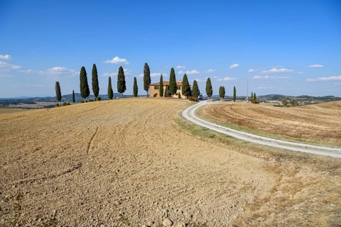 Cypresses in front of a country house, near Pienza, Val d'Orcia, Orcia Valley, Tuscany, Italy,