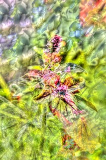 Oil painting, red flowers creative, different plants mixed, artistic shot, alienated flowers,
