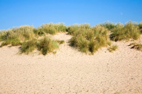 Sand dunes at Holkham beach, north Norfolk coast, England, United Kingdom, Europe