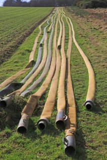 Long lines of irrigation hose pipes laid out on the ground, Shottisham, Suffolk, England, UK