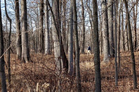 Milford, Michigan, A hiker on a nature trail in Kensington Metropark