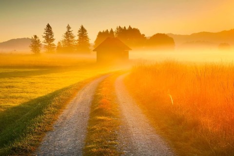 Golden morning light streams through fields of fog and the Rothenthurm high moor, Schwyz,
