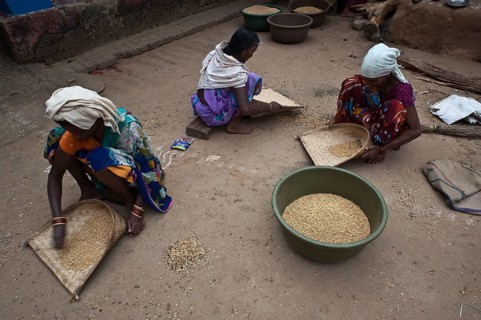 Tribal women sorting peas, collective work made by women, Bastar region, Chhattisgarh, India.