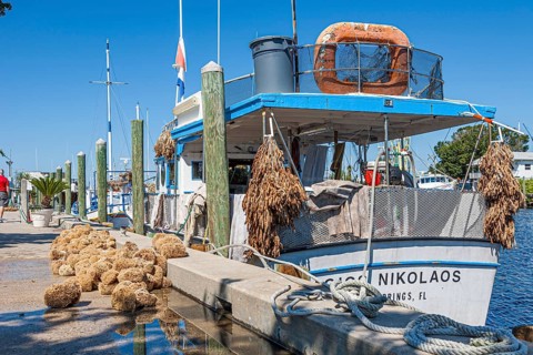 Sponges unloaded from commercial fishing boat at dock on Dodecanese Blvd. in Tarpon Springs,