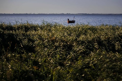 A fisherman hauls in his nets in the early morning near Born am Darß on the Bodstedter Bodden.