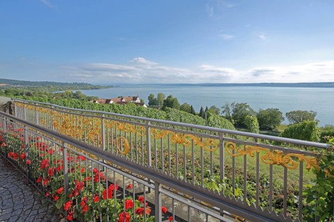 View of Birnau with vineyards and golden metal railing with ornaments and red geraniums, flower