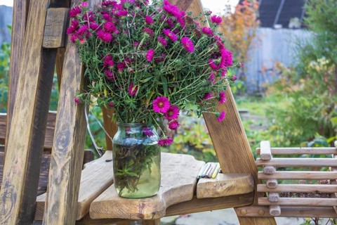 A bouquet of asters in a glass jar