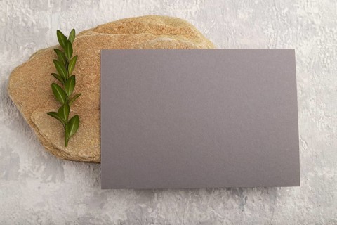 Gray paper business card, mockup with natural stone and boxwood branch on gray concrete background.