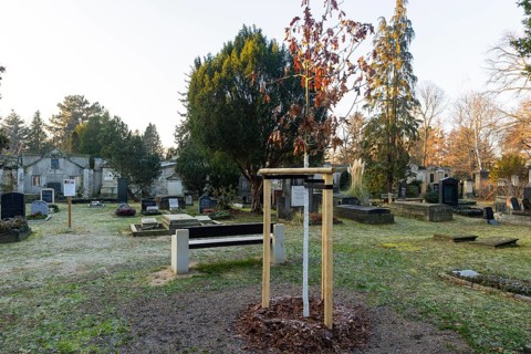 The Trinitatisfriedhof cemetery in Dresden's Johannstadt district is one of the city's burial