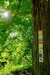 Hiking trail signs, on the Franconian Saale, Steinhof, Lower Salt Works, Bad Kissingen, Rhön, Lower