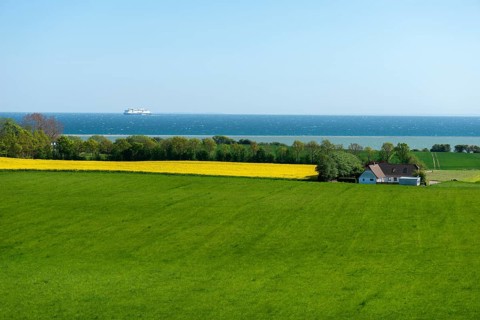 View from Hatbakken Fakkebjerg, Bagenkop, Langeland, Agriculture, Rapeseed cultivation, Ferry Color