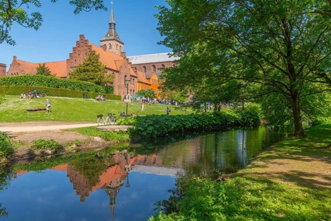 Odense, green area, monastery, brick building, stepped gable, tower of the cathedral church, St.