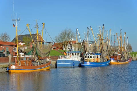 Crab cutter in the harbour of Greetsiel, blue sky, North Sea, Lower Saxony, Germany, Europe