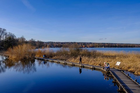 Plank path to the observation tower, high water in Dießen am Lake Ammer, Diessen, Fünfseenland,
