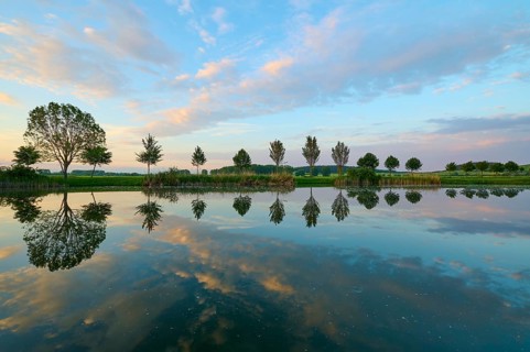 Lake in spring with row of trees and reflection at sunset, Drei Gleichen, Ilm-Kreis, Thuringia,