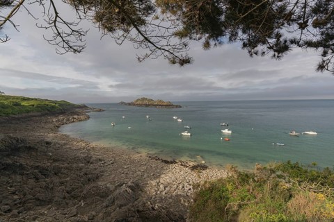 Beach with anchored motor boats, framed with the twigs of a pine tree. Looking at the sea and the