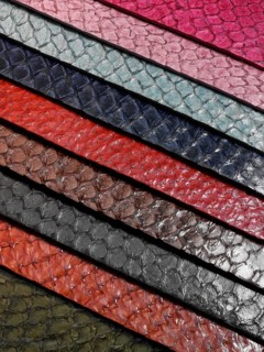 Coloured snakeskin stripes
