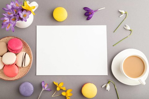 White paper sheet mockup with spring snowdrop crocus flowers and multicolored macaroons on gray