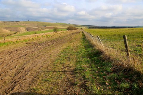 Roman road chalk landscape, near Baltic Farm, Bishops Cannings, Wiltshire, England, UK