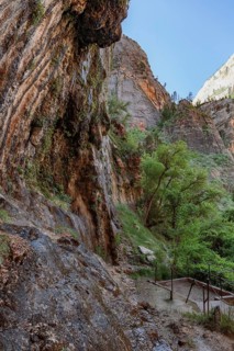 Wet sandstone rock face along the Weeping Rock Trail in Zion National Park, Utah