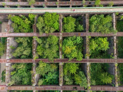 Duisburg-Nord Landscape Park, former Thyssen steelworks, closed in 1985, since then trees have been