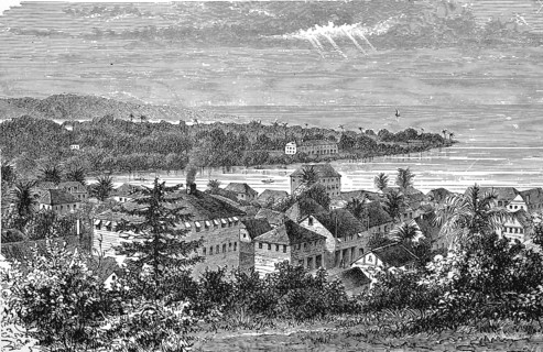 Landscape in Upper Guinea, Freetown, Africa, in 1880, Historical, digital reproduction of an