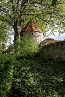 Powder tower and town wall, Bad Langensalza, Thuringia, Germany, Europe