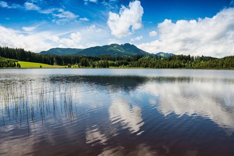 Attlesee, near Nesselwang, Oberallgäu, Allgäu, Swabia, Bavaria, Germany, Europe