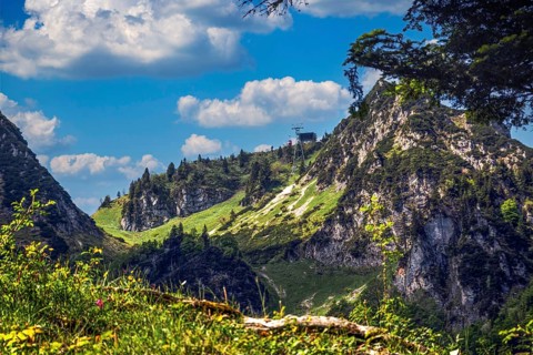 Mountain landscape in the Alps with fir trees and the Hochfelln cable car under a blue sky with