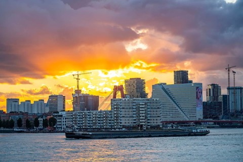 The skyline of Rotterdam, with the Willemsbrug over the Nieuwe Maas, Netherlands