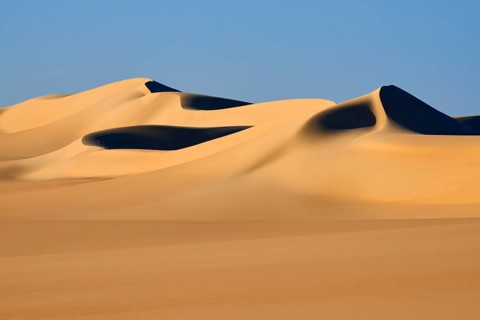 Soft, curved sand dunes cast deep shadows in the golden desert landscape under a clear blue sky,