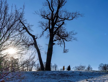 Park Babelsberg, winter impressions, Potsdam, Brandenburg, Germany, Europe