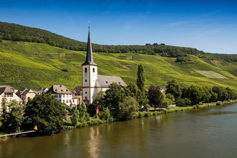 Picturesque village by the river and in the vineyards, Piesport, Moselle, Rhineland-Palatinate,